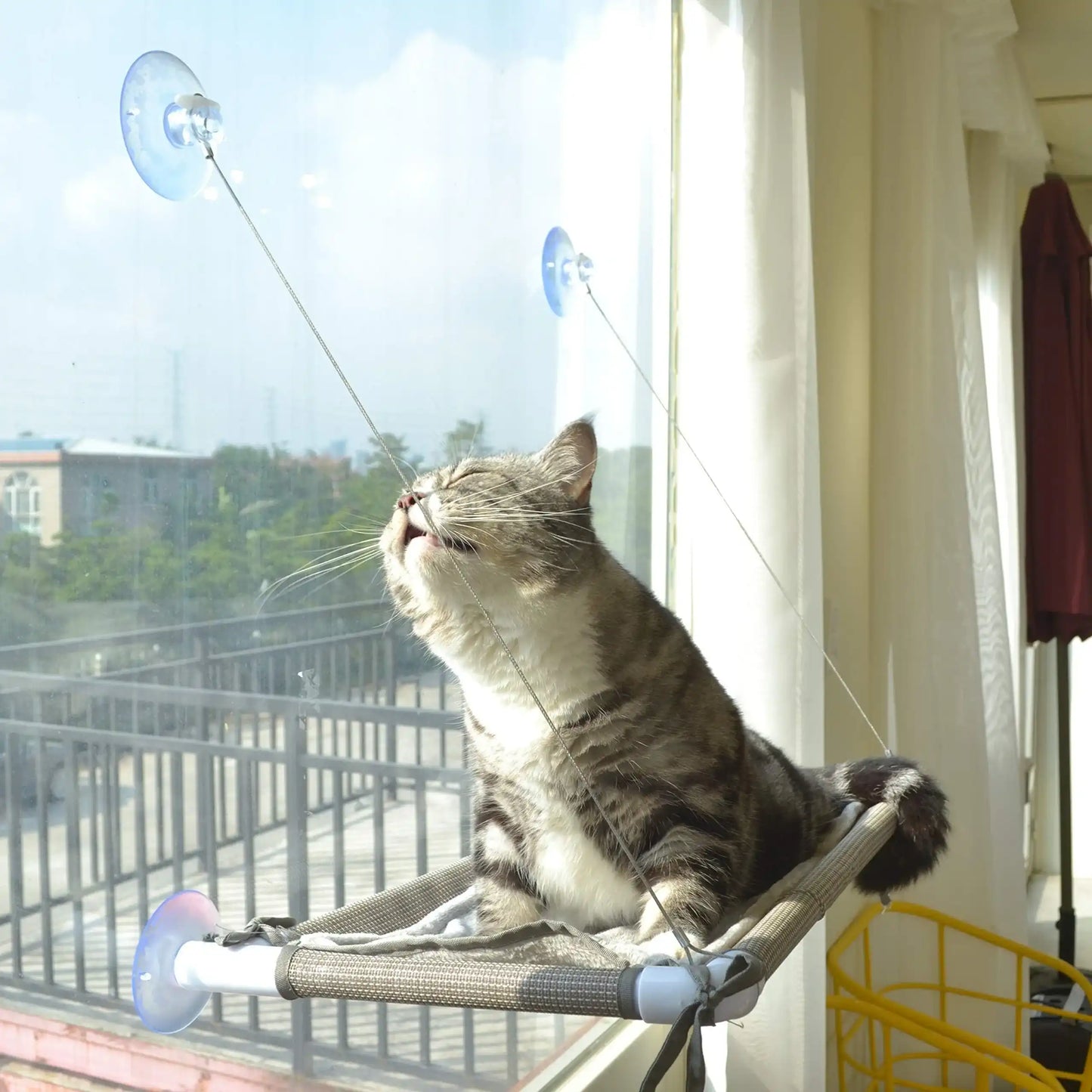 FelineSky