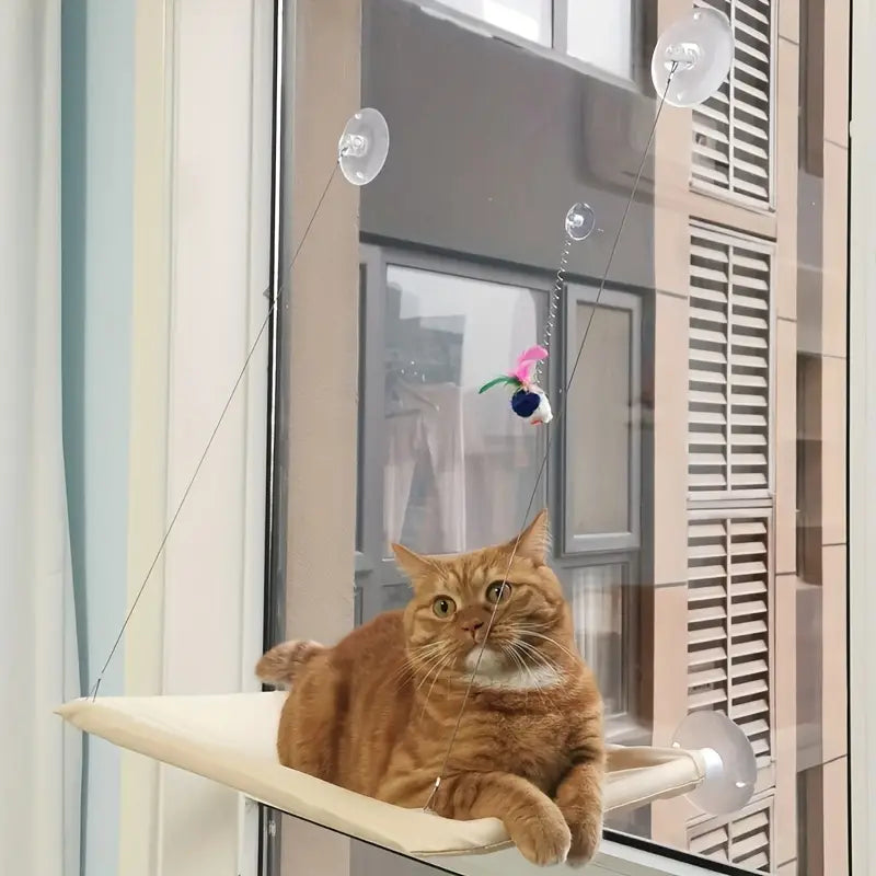 FelineSky