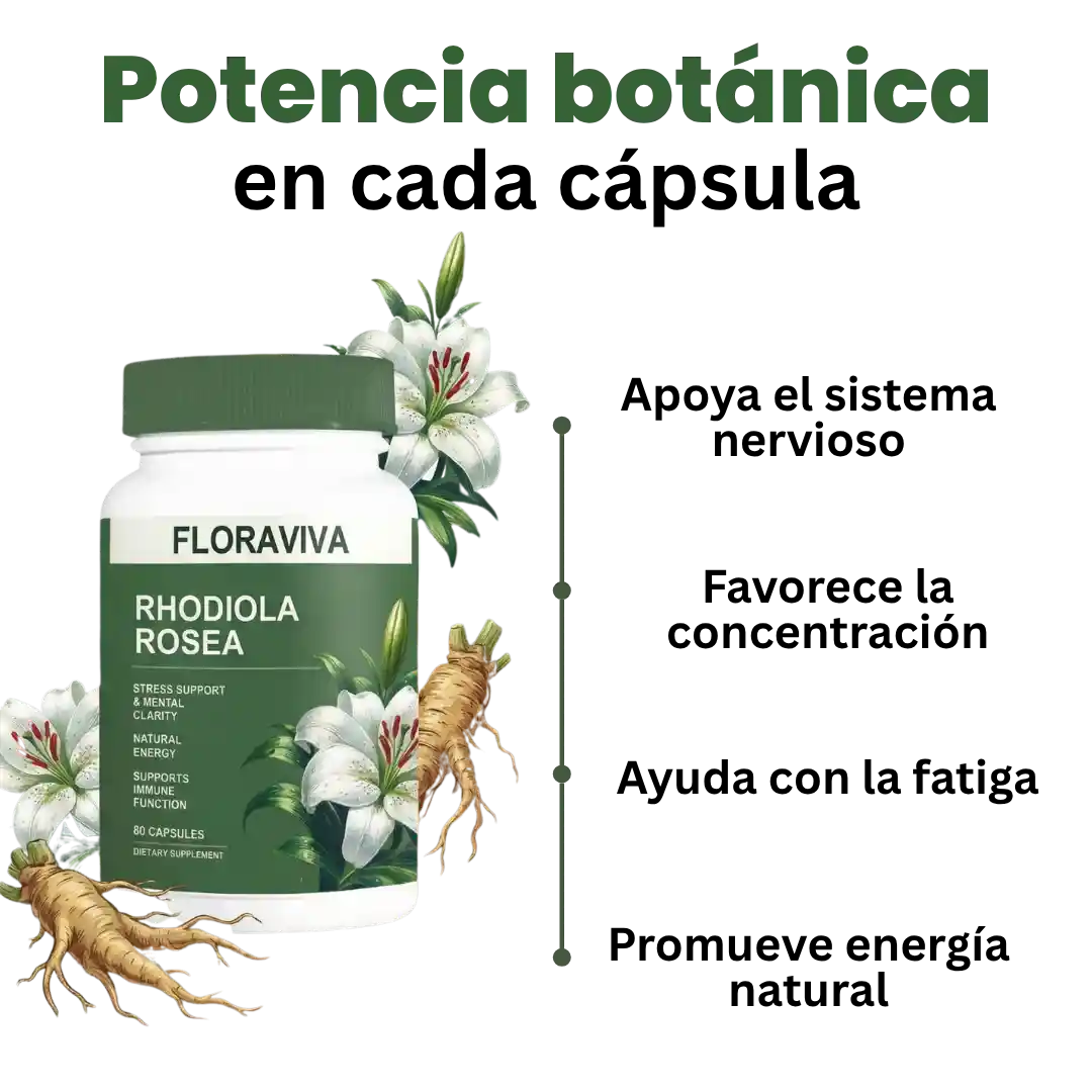 Rhodiola Focus