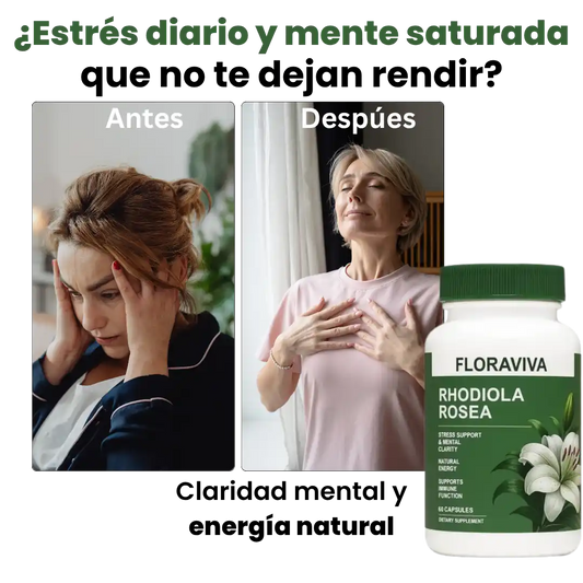 Rhodiola Focus