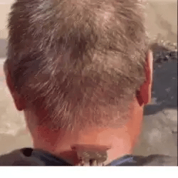 💇🏼‍♂️ TrimPro Cortadora 3 en 1🔥